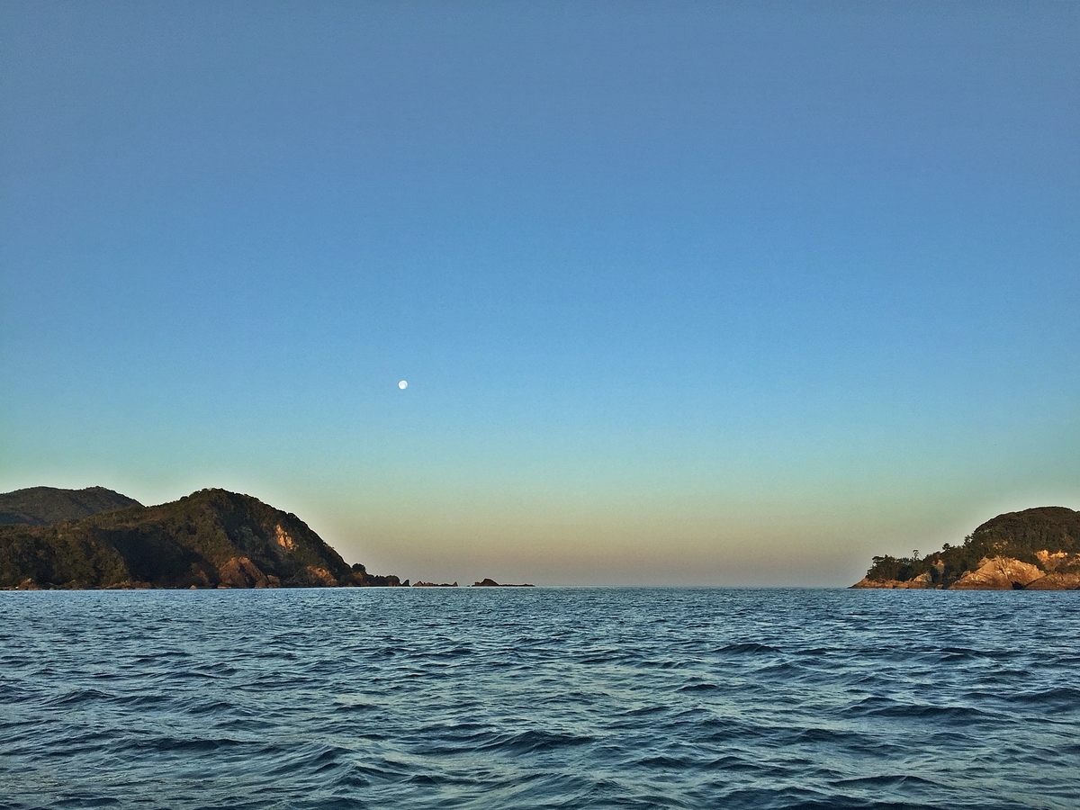 f:id:oka1man:20201008043319j:plain f:id:oka1man:20201008043319j:plain