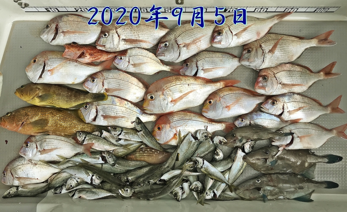 f:id:oka1man:20201010142743j:plain f:id:oka1man:20201010142743j:plain