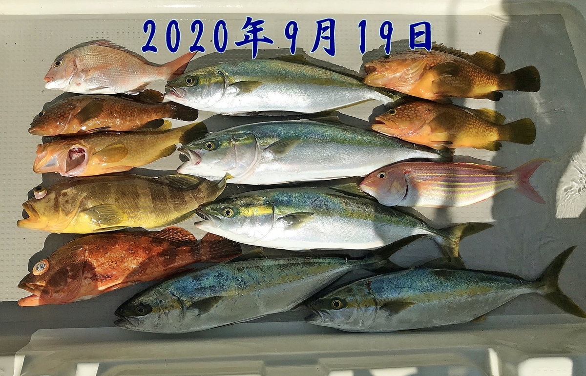 f:id:oka1man:20201010143029j:plain f:id:oka1man:20201010143029j:plain