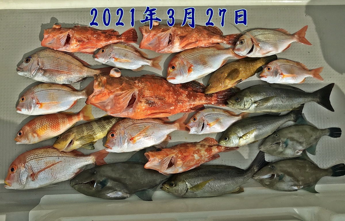 f:id:oka1man:20210409063134j:plain