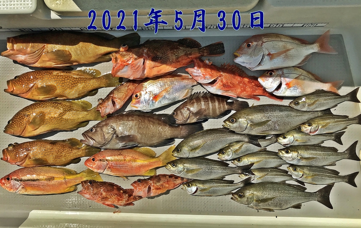5月に日本海で釣れる魚を紹介します ボートゲーム 釣魚のまとめページ 順次更新中 金属遊び研究会 Fisherman Ryo