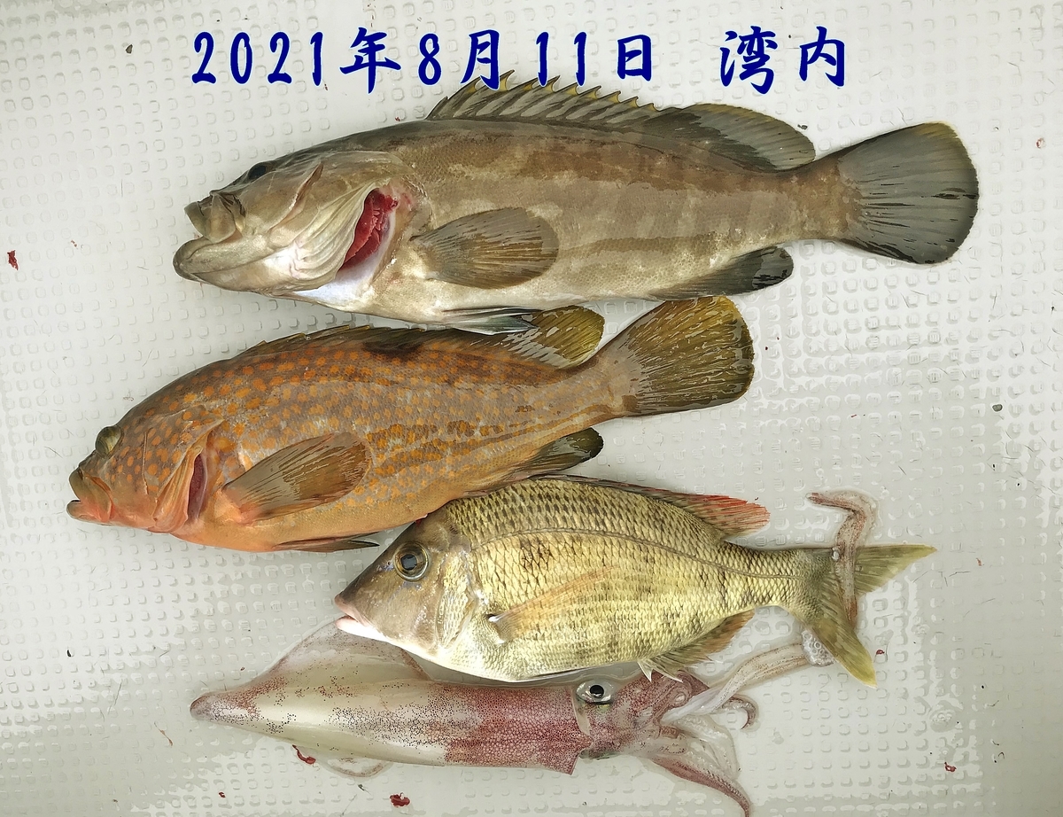 f:id:oka1man:20210925070627j:plain