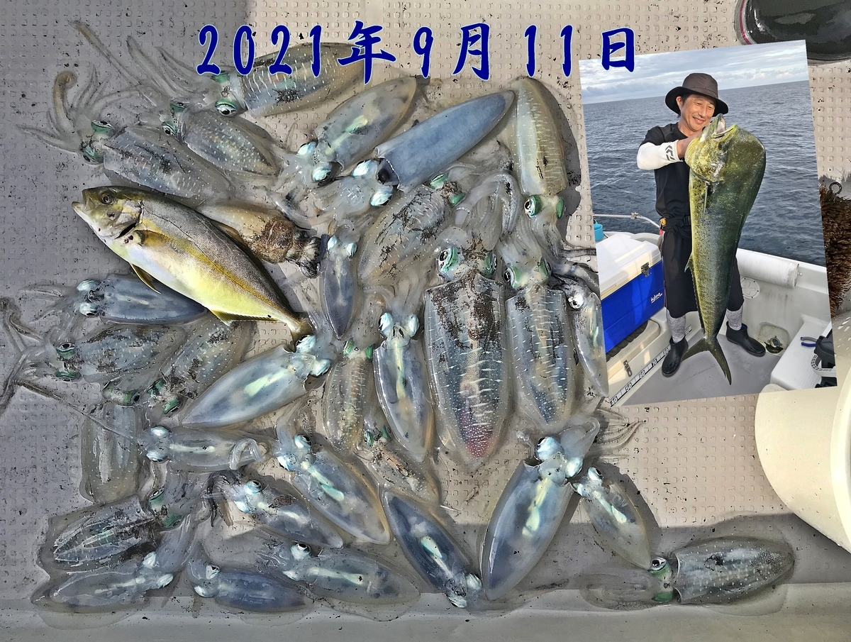 f:id:oka1man:20210925071306j:plain