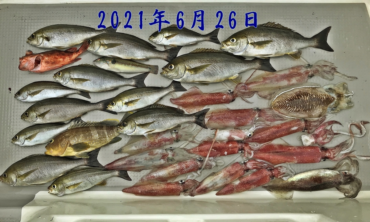 f:id:oka1man:20211230174232j:plain