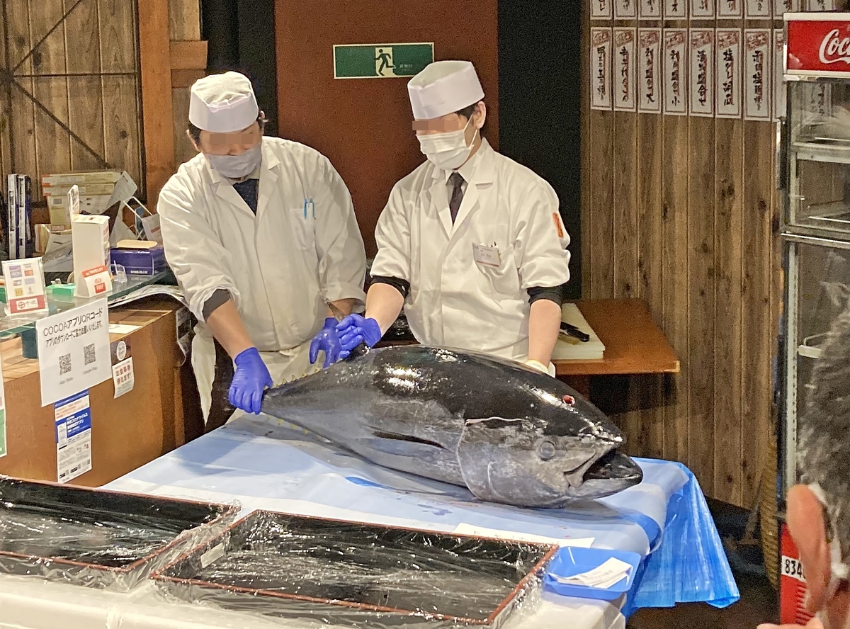 人生で初めて「マグロの解体ショー」を体験しました 【 50キロ級