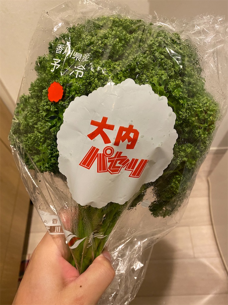 f:id:oka_p:20200418183401j:image