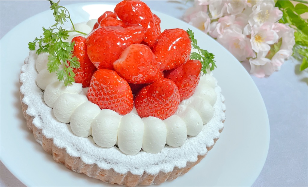 f:id:oka_sina:20210328114845j:image