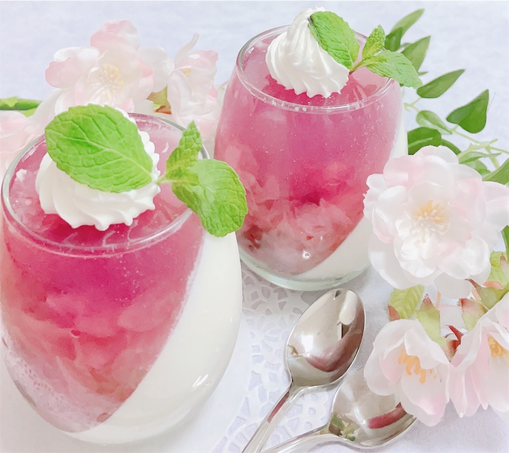 f:id:oka_sina:20210404121925j:plain