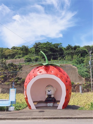 f:id:okachimachisayaka:20200716204425j:image