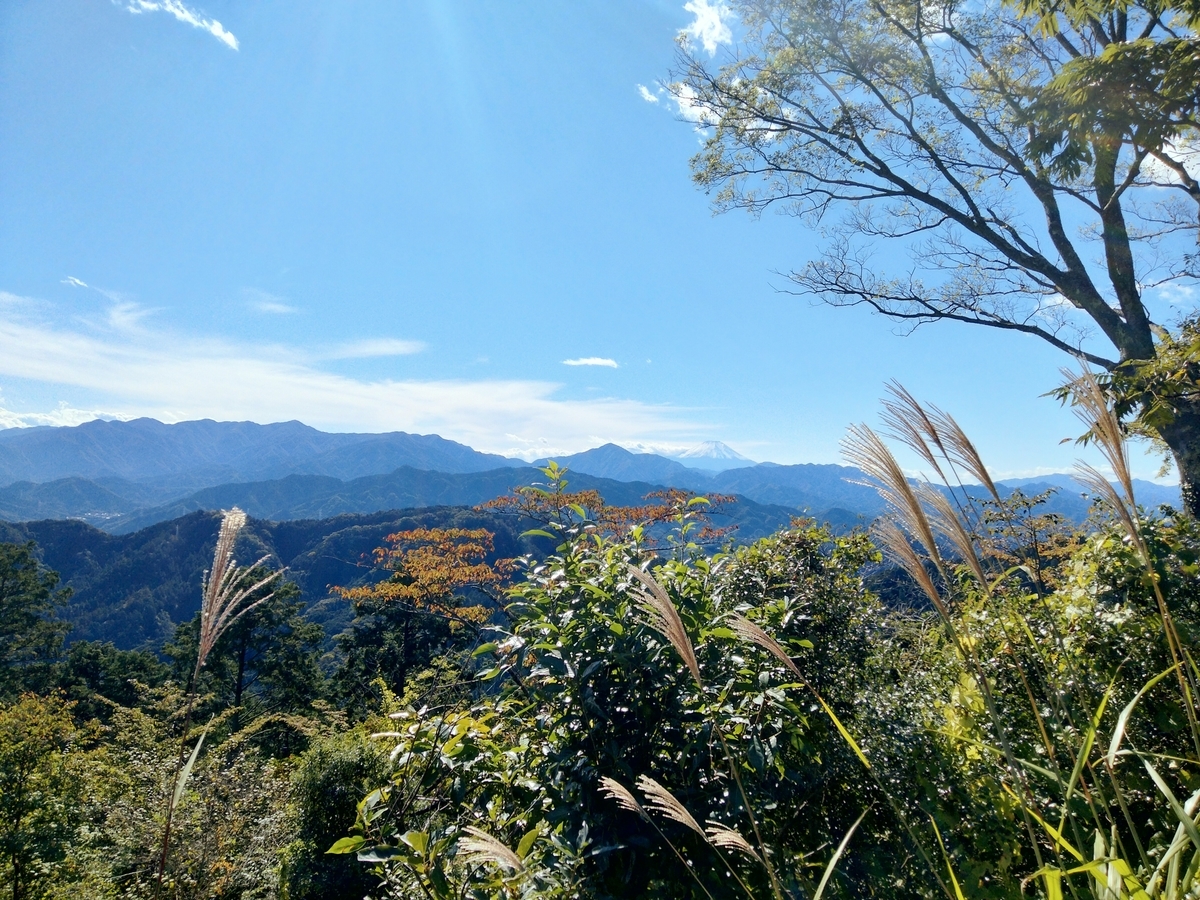f:id:okada_pine:20211026000521j:plain
