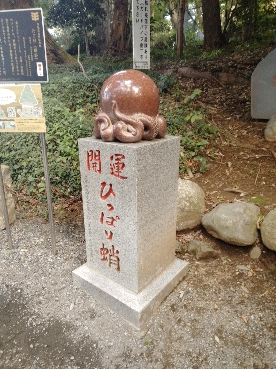 f:id:okada_pine:20211026000536j:plain