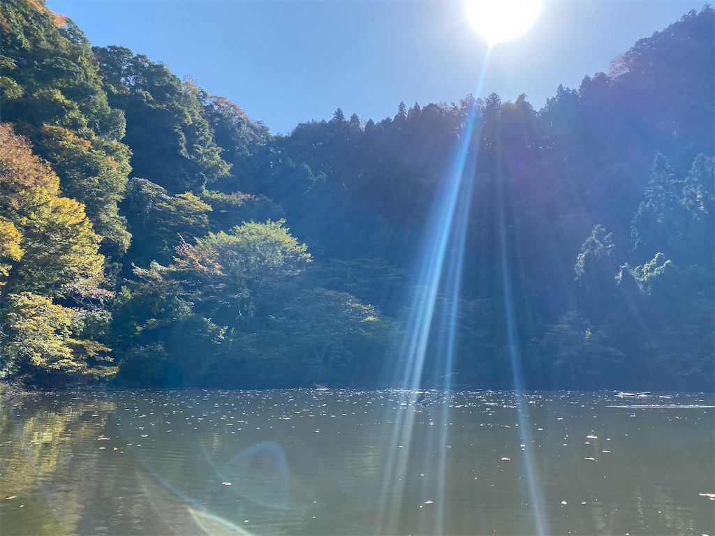 f:id:okagesan-touge:20201116123940j:image f:id:okagesan-touge:20201116123940j:image