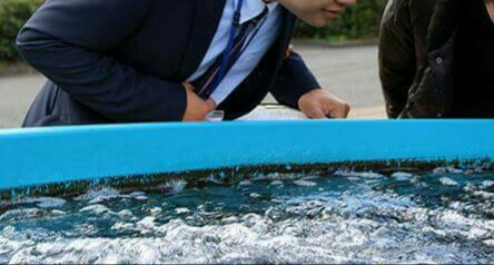 f:id:okagon:20170110183548j:image f:id:okagon:20170110183548j:image