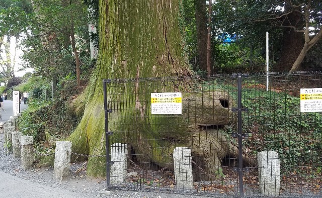 f:id:okagon:20231110224529j:image