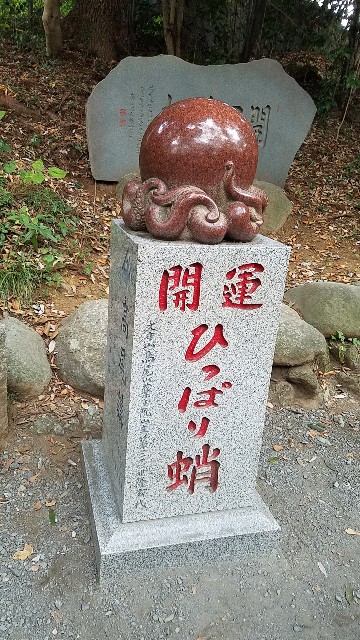 f:id:okagon:20231110230350j:image