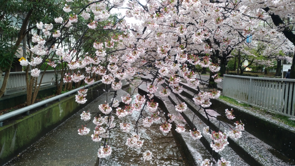 f:id:okaji:20170409152149j:plain f:id:okaji:20170409152149j:plain