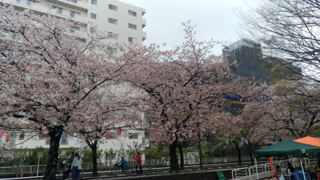 f:id:okaji:20170410224237p:plain f:id:okaji:20170410224237p:plain