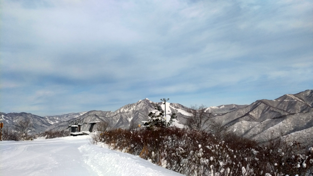 f:id:okaji:20181216212449p:plain