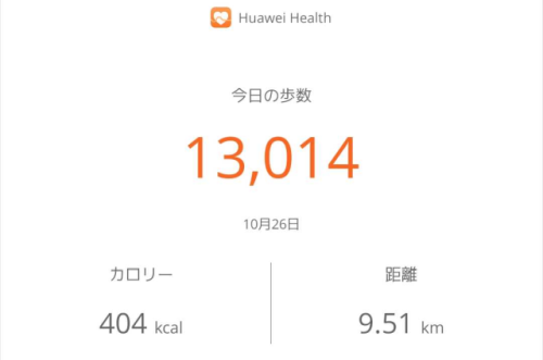 f:id:okaji:20191027004105p:image:w350