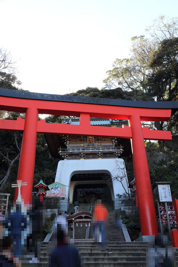 f:id:okakaMT:20181208193206j:plain