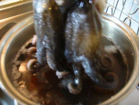 f:id:okaki:20070722163003j:image