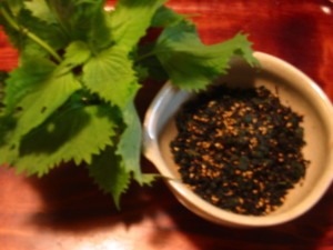 f:id:okaki:20080905064002j:image:left f:id:okaki:20080905064002j:image:left