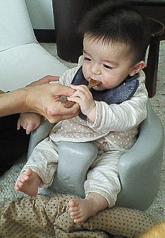 f:id:okaki:20090124214750j:image:left f:id:okaki:20090124214750j:image:left