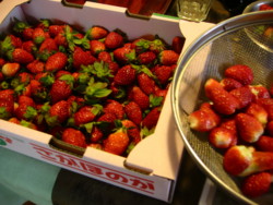 f:id:okaki:20090209140219j:image:right f:id:okaki:20090209140219j:image:right