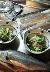 f:id:okaki:20090330161009j:image:right f:id:okaki:20090330161009j:image:right
