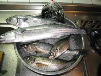 f:id:okaki:20090330161018j:image:left f:id:okaki:20090330161018j:image:left