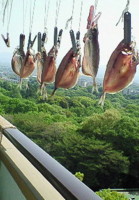 f:id:okaki:20090419165207j:image:right