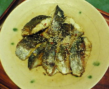 f:id:okaki:20100314205942j:image:left