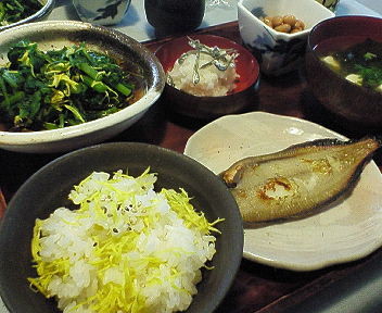 f:id:okaki:20101106220247j:image