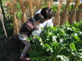 f:id:okaki:20111204112111j:image:medium:left f:id:okaki:20111204112111j:image:medium:left