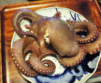 f:id:okaki:20120819163956j:image f:id:okaki:20120819163956j:image