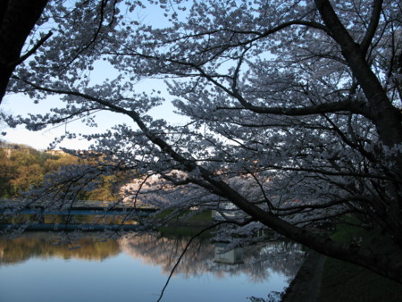 f:id:okaki:20140403065025j:image f:id:okaki:20140403065025j:image