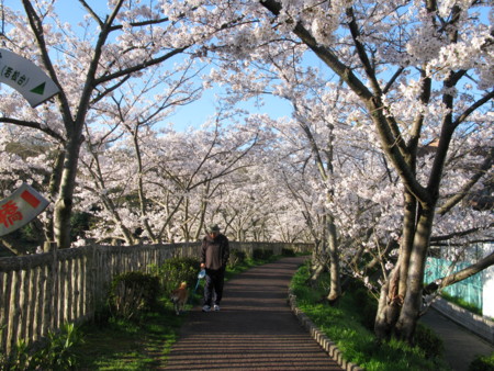 f:id:okaki:20140403065154j:image f:id:okaki:20140403065154j:image