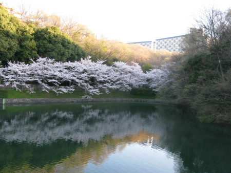 f:id:okaki:20140403065242j:image:left f:id:okaki:20140403065242j:image:left