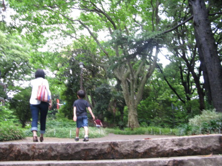 f:id:okaki:20140608091454j:image:w360