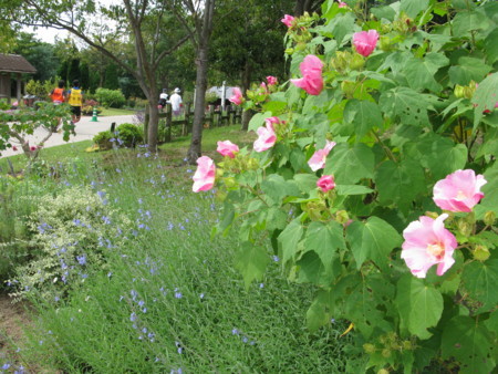 f:id:okaki:20171001104317j:image f:id:okaki:20171001104317j:image