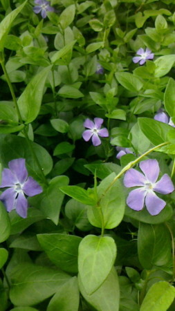 20180505165800