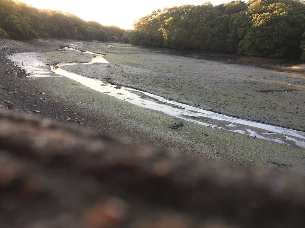 f:id:okaki:20191114154016j:image f:id:okaki:20191114154016j:image
