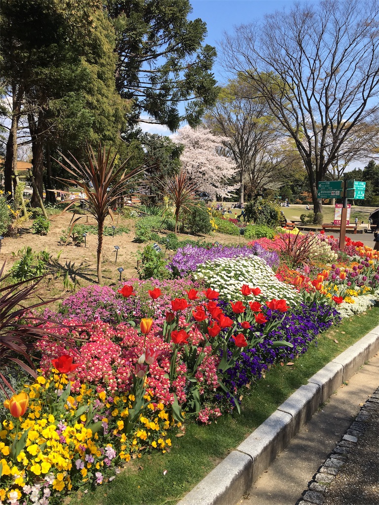 f:id:okalinax:20191004103801j:image f:id:okalinax:20191004103801j:image