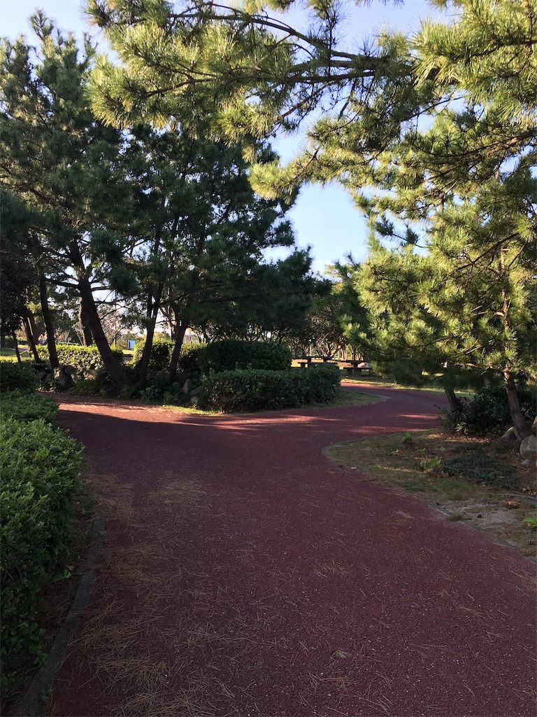 f:id:okalinax:20191102121725j:image f:id:okalinax:20191102121725j:image