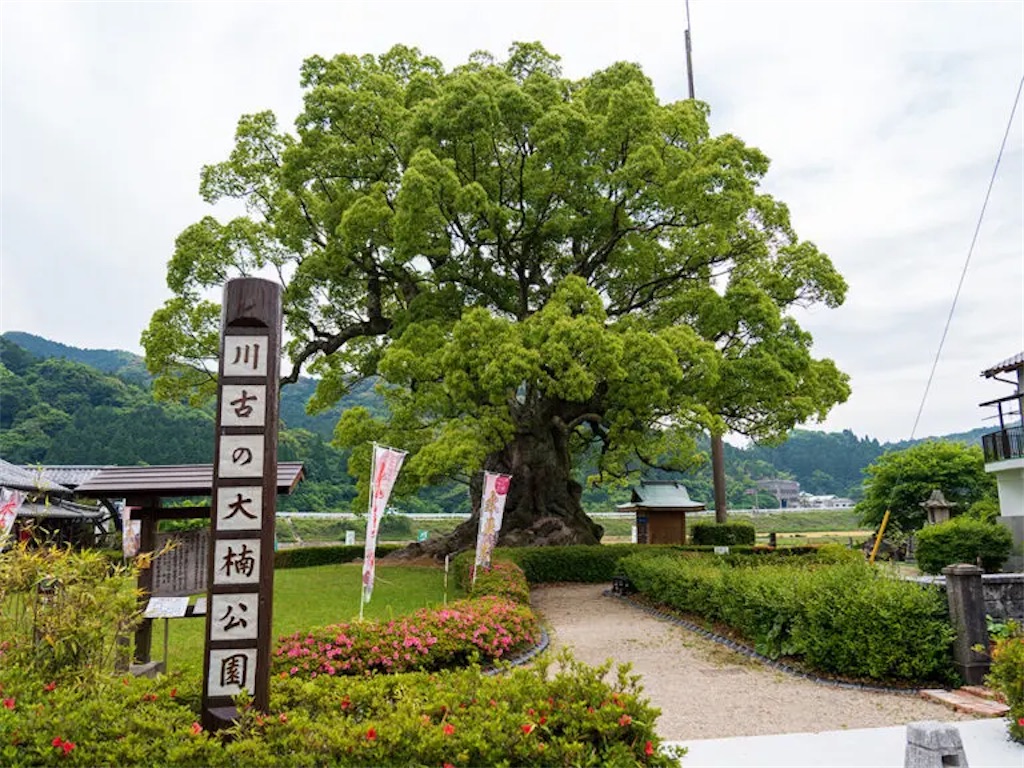 f:id:okame58:20230222213510j:image