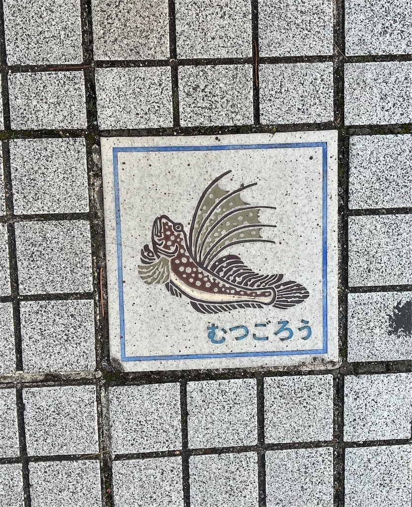 f:id:okame58:20230227220007j:image