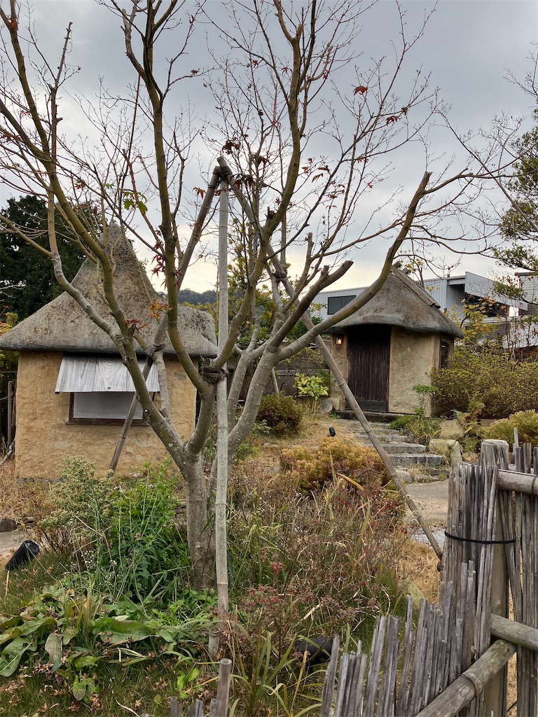 f:id:okame58:20230321162541j:image