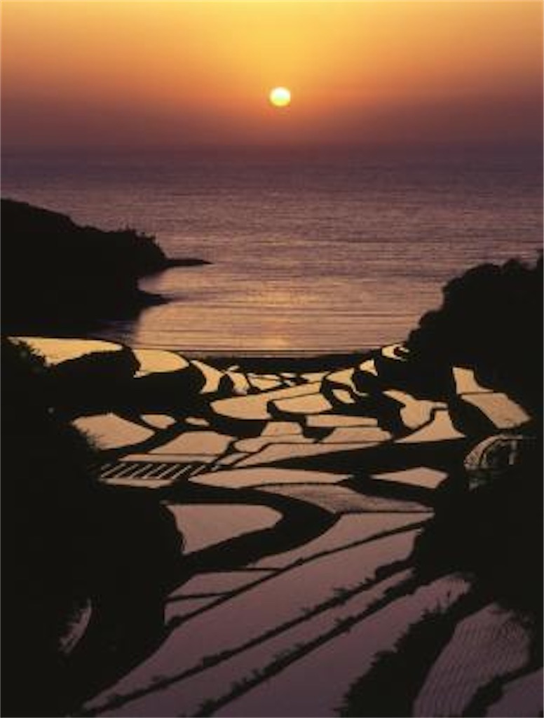 f:id:okame58:20230408054853j:image
