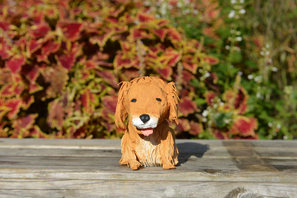 f:id:okame77:20171101082549j:plain