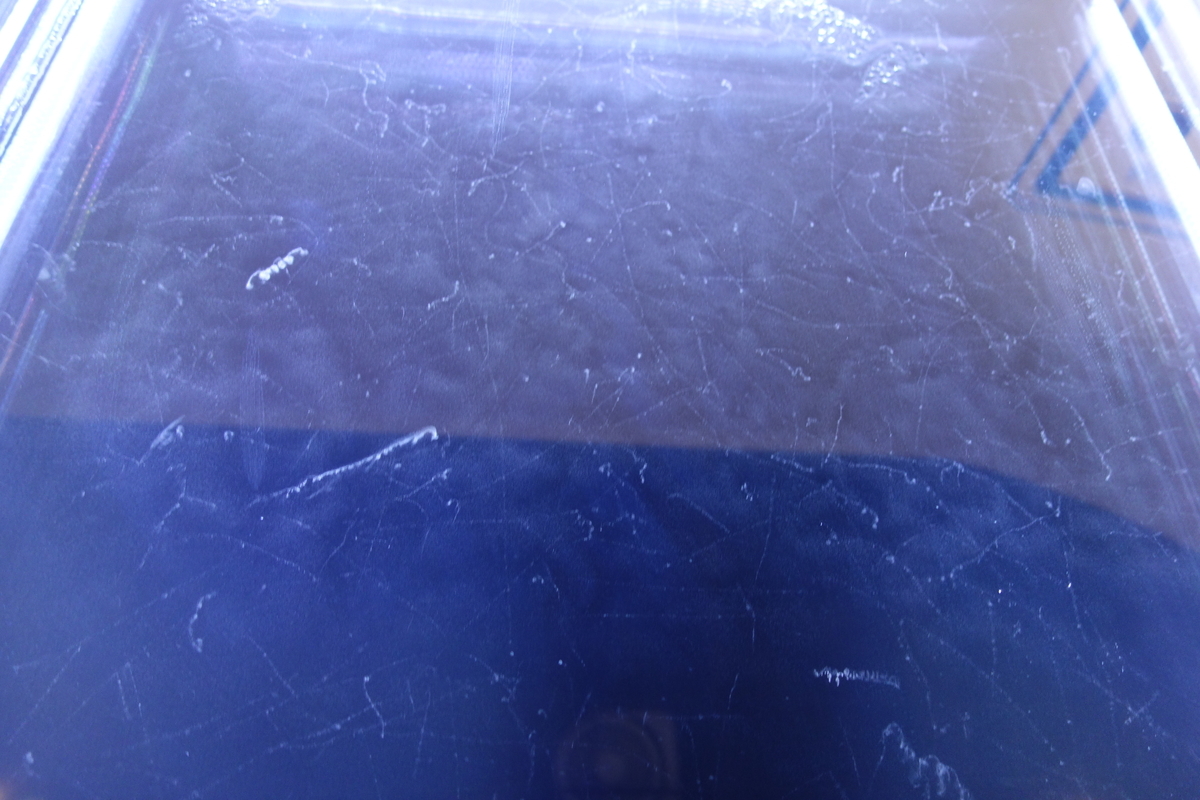 f:id:okame77:20191005130902j:plain f:id:okame77:20191005130902j:plain